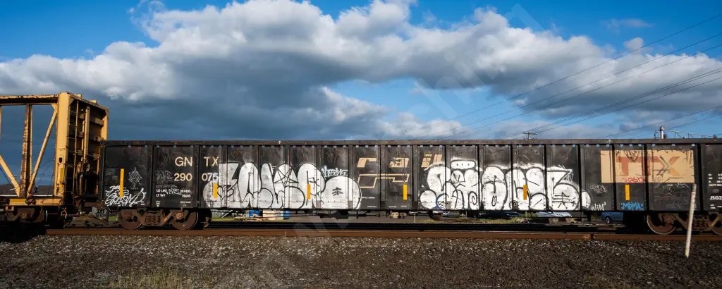 GNTX290075 - NORTH-AMERICA