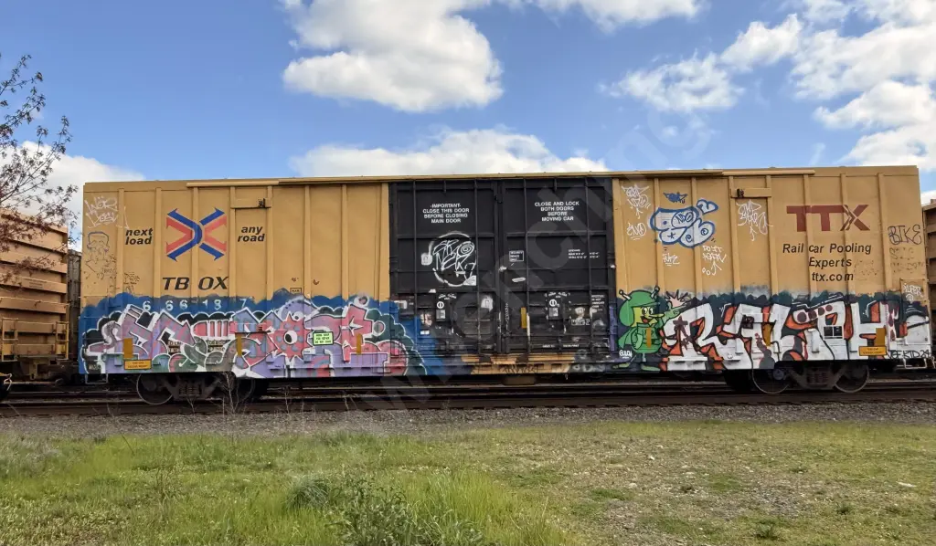 TBOX666187 - NORTH-AMERICA