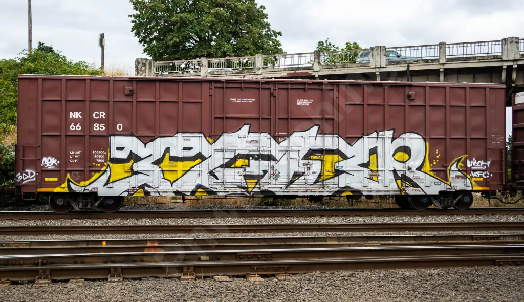 NKCR66850 - NORTH-AMERICA