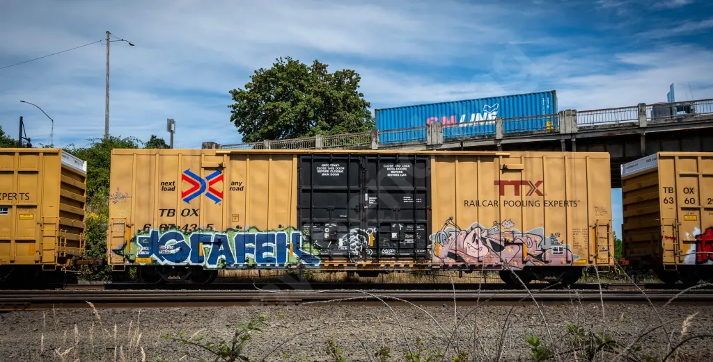 TBOX667435 - NORTH-AMERICA