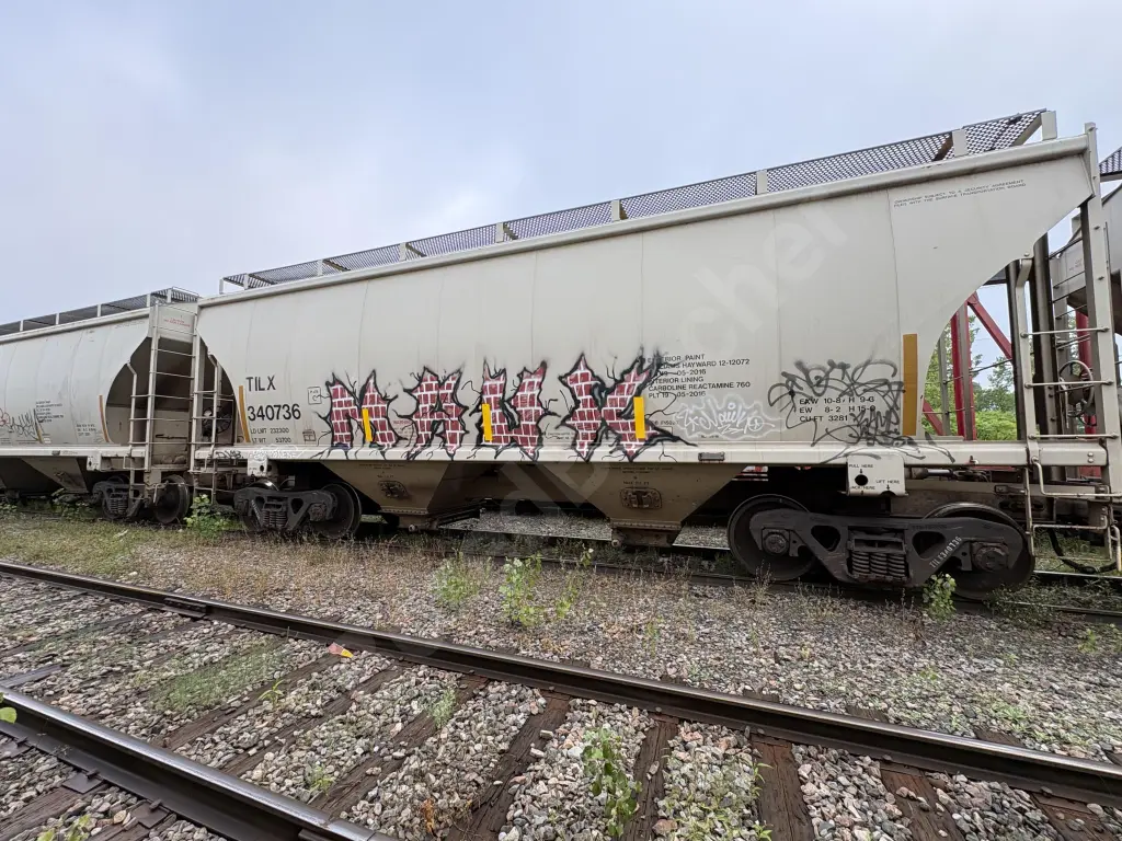 TILX340736 - NORTH-AMERICA