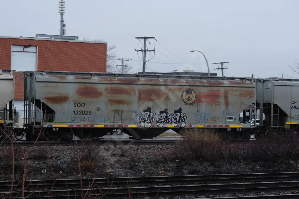 SOO123029 - NORTH-AMERICA
