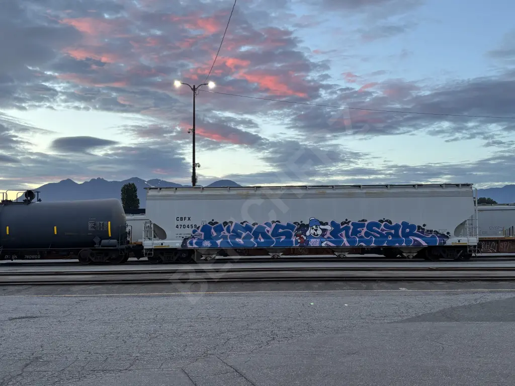 CBFX470459 - NORTH-AMERICA