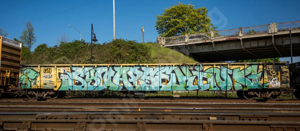 GNTX295201 - NORTH-AMERICA