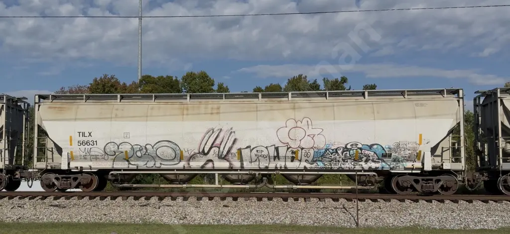TILX56631 - NORTH-AMERICA