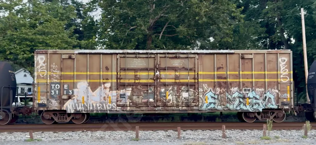 TOE3113 - NORTH-AMERICA