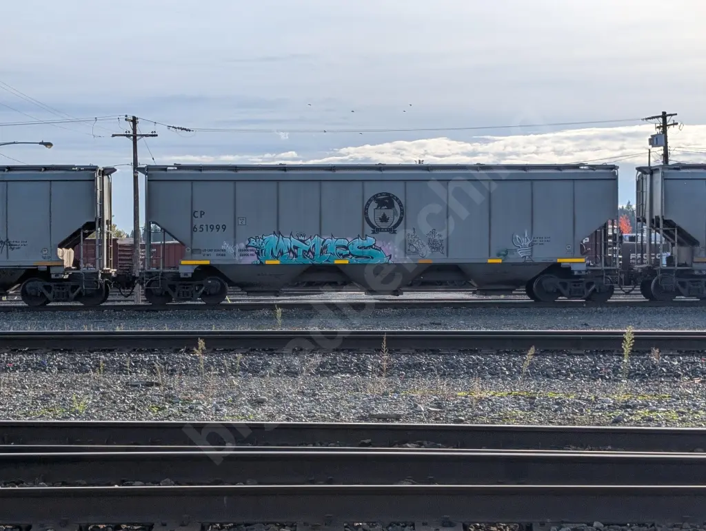 CP651999 - NORTH-AMERICA
