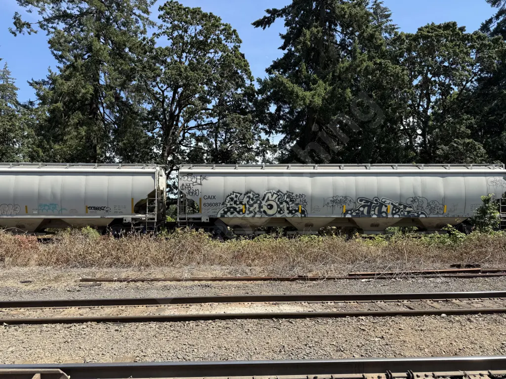 CAIX636087 - NORTH-AMERICA