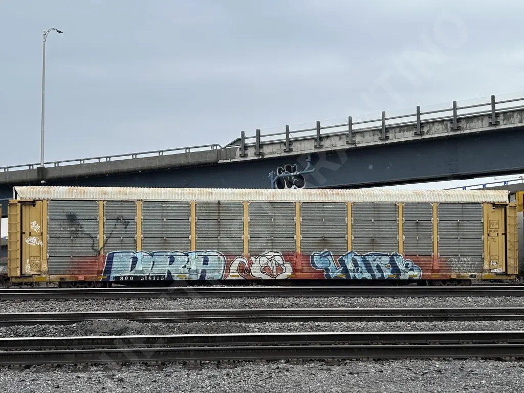 SOO516375 - NORTH-AMERICA