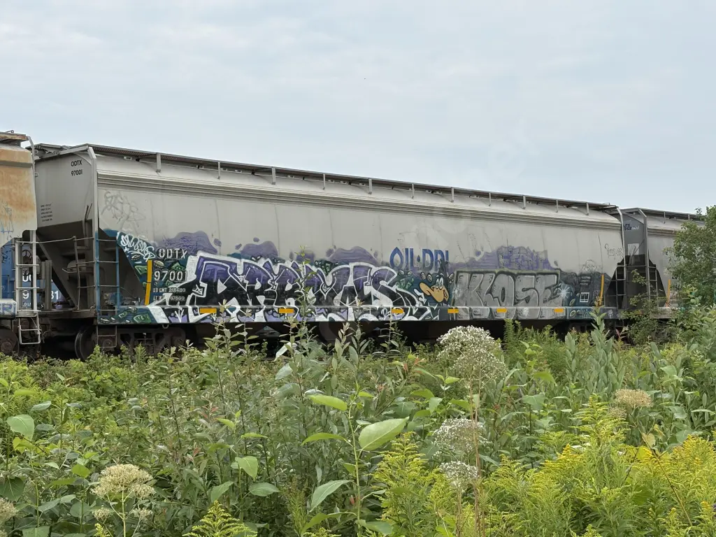 ODTX97001 - NORTH-AMERICA