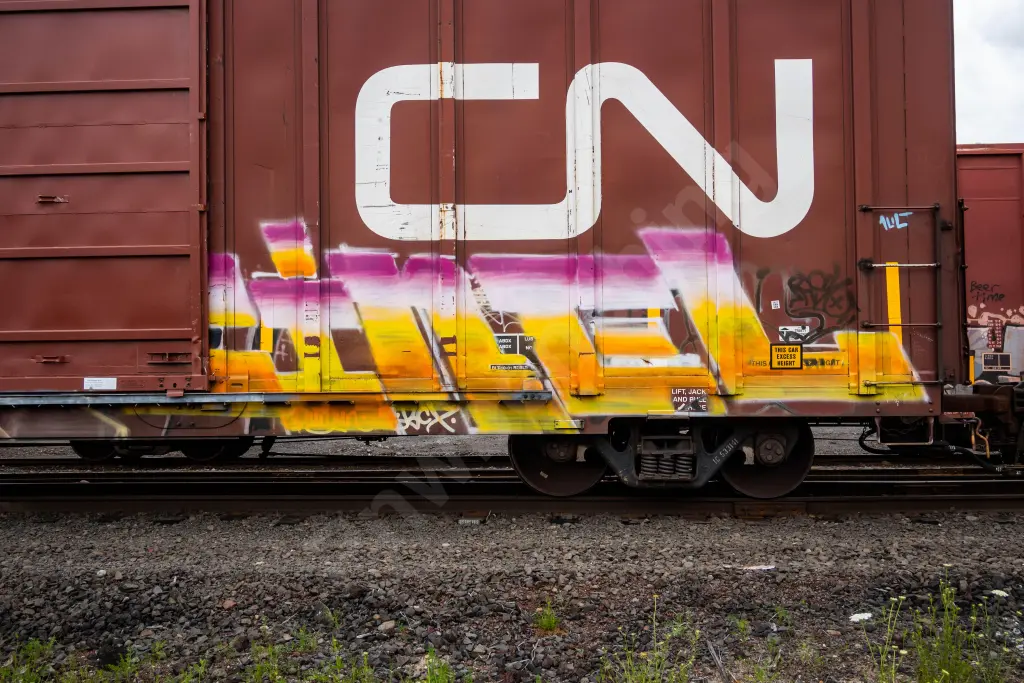 IC533141 - NORTH-AMERICA