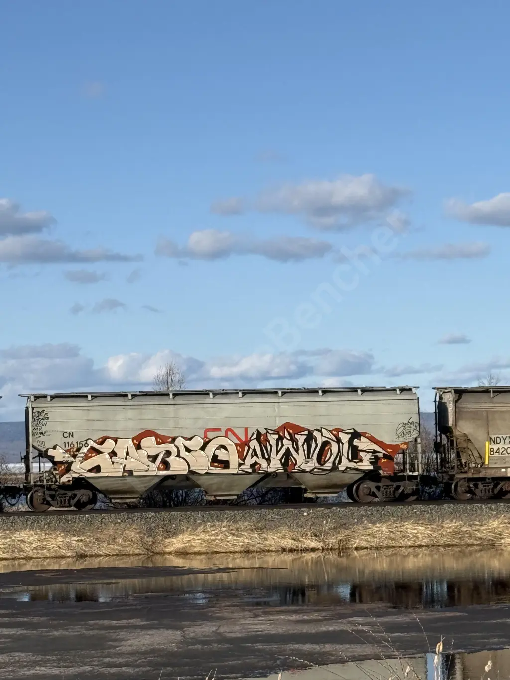 CN116156 - NORTH-AMERICA