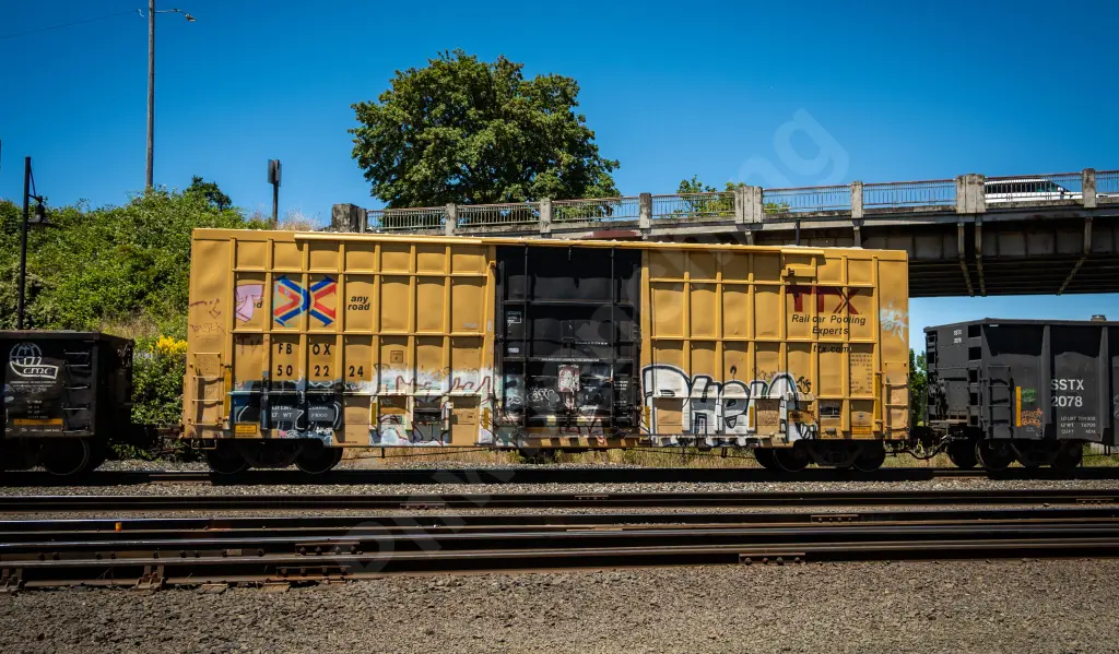 FBOX502224 - NORTH-AMERICA