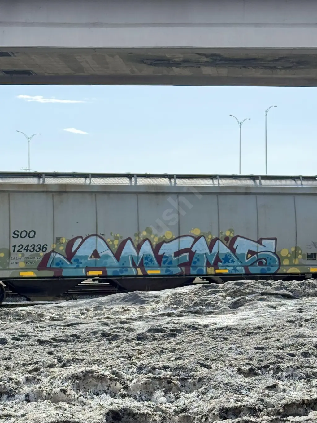SOO124336 - NORTH-AMERICA