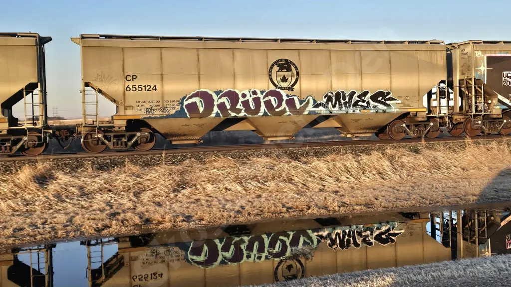 CP655124 - NORTH-AMERICA