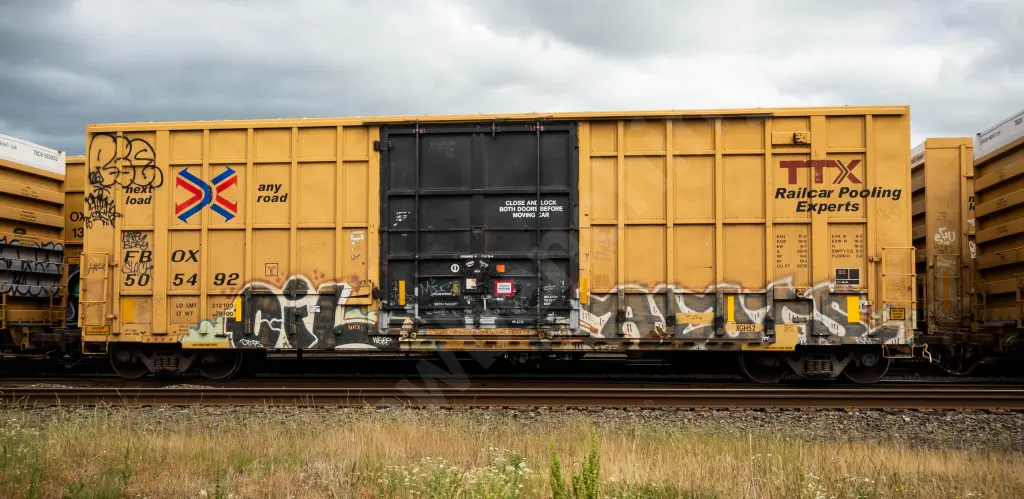 FBOX505492 - NORTH-AMERICA