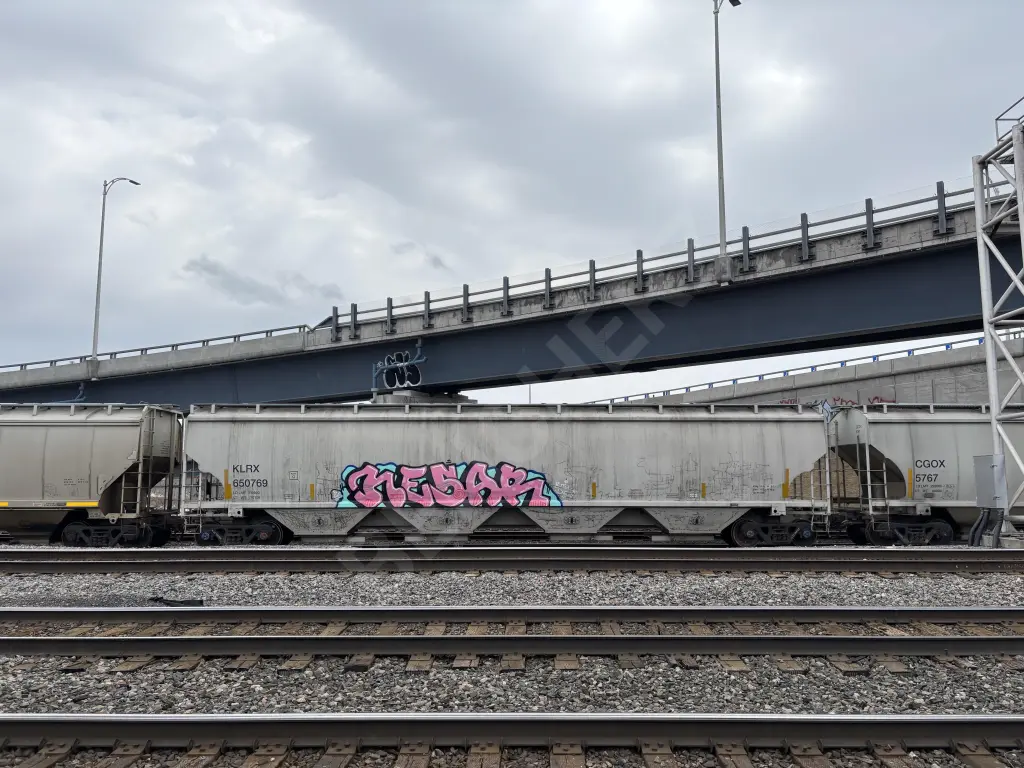 KLRX650769 - NORTH-AMERICA