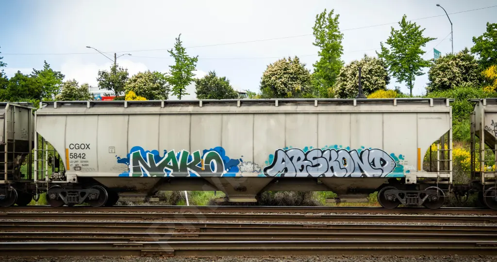 CGOX5842 - NORTH-AMERICA