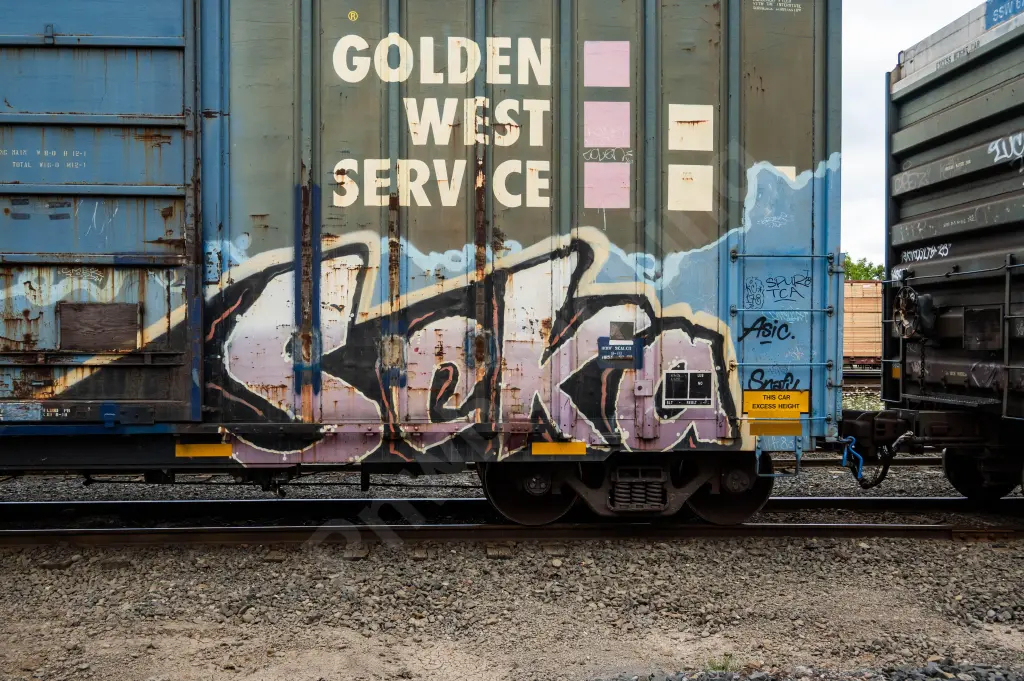 SSW67883 - NORTH-AMERICA