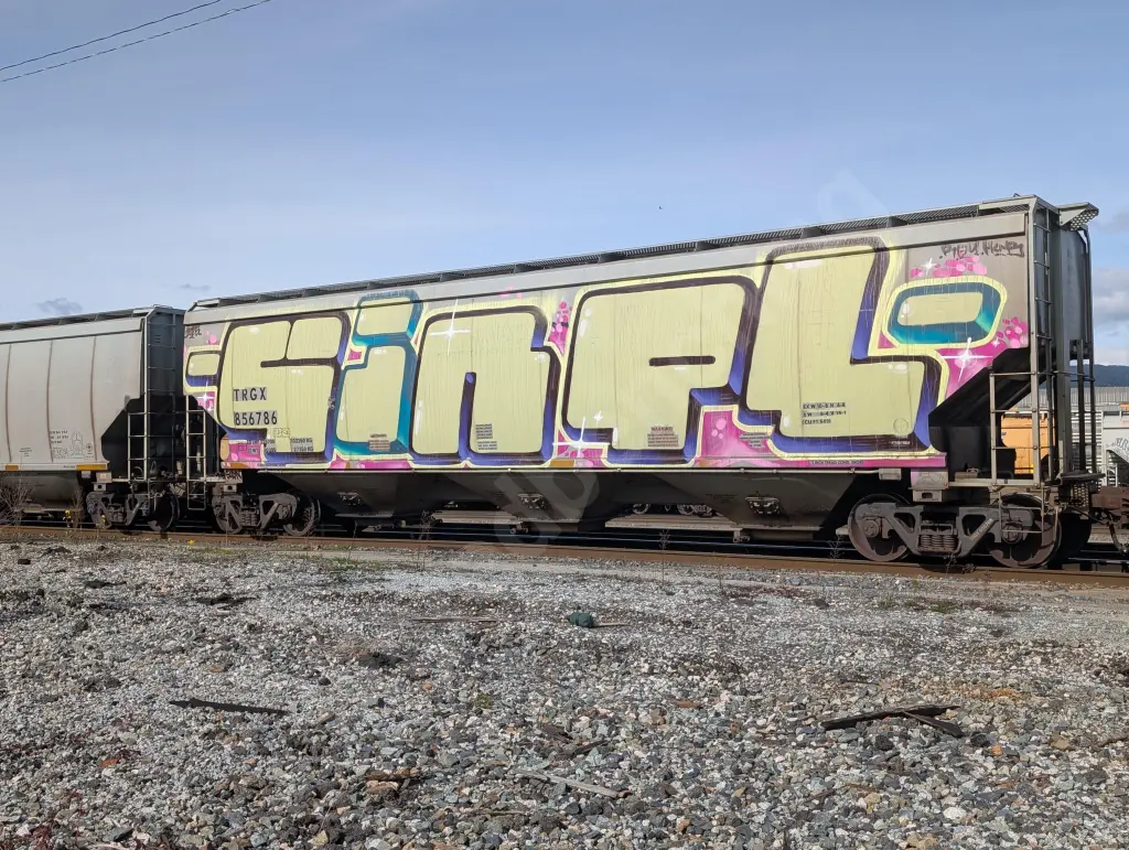 TRGX856786 - NORTH-AMERICA