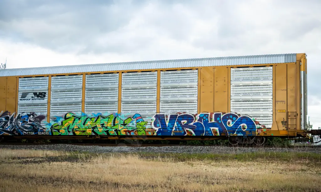 TTGX824010 - NORTH-AMERICA