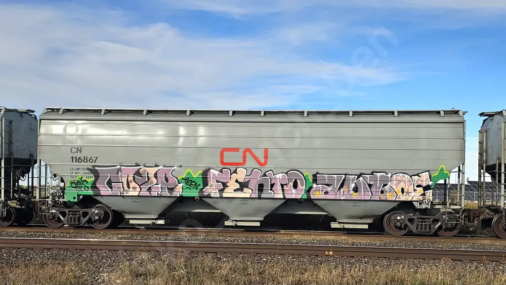 CN116867 - NORTH-AMERICA