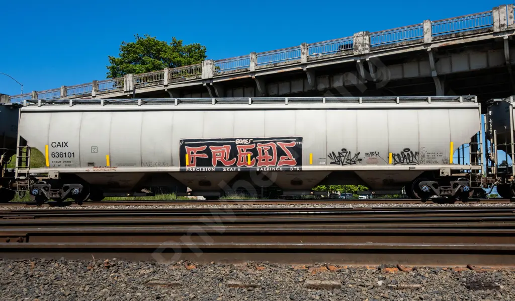 CAIX636101 - NORTH-AMERICA