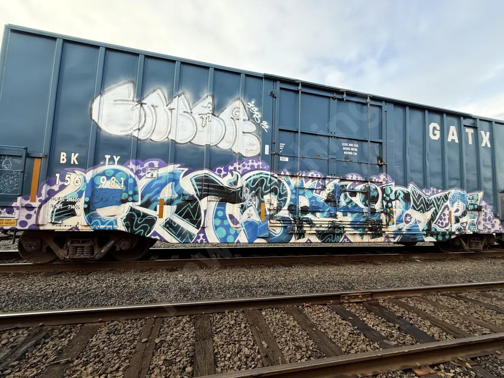 BKTY156981 - NORTH-AMERICA