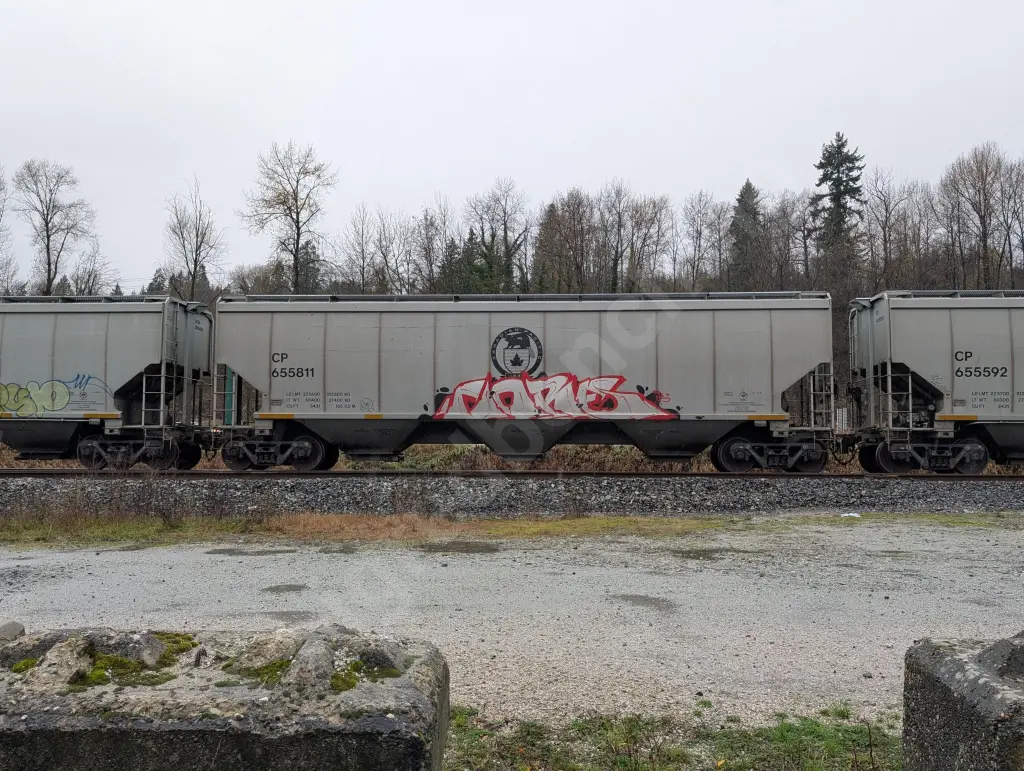 CP655811 - NORTH-AMERICA