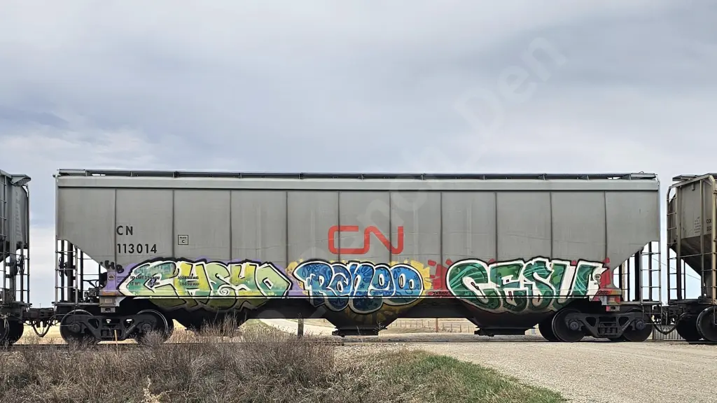 CN113014 - NORTH-AMERICA