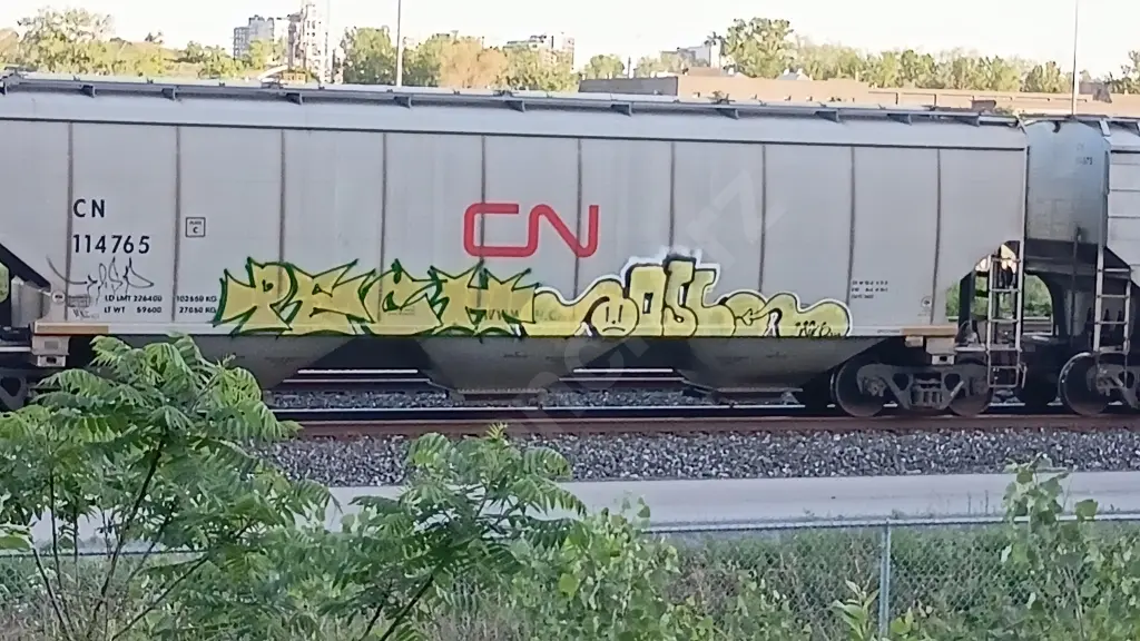 Train photo