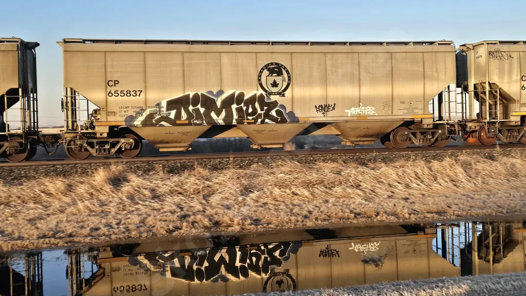 CP655837 - NORTH-AMERICA