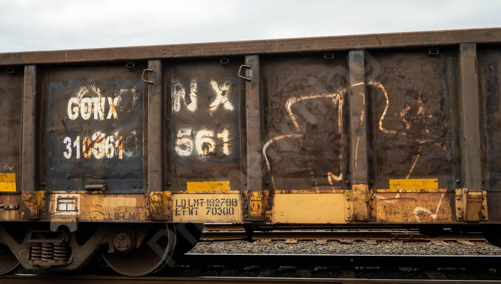GONX310561 - NORTH-AMERICA