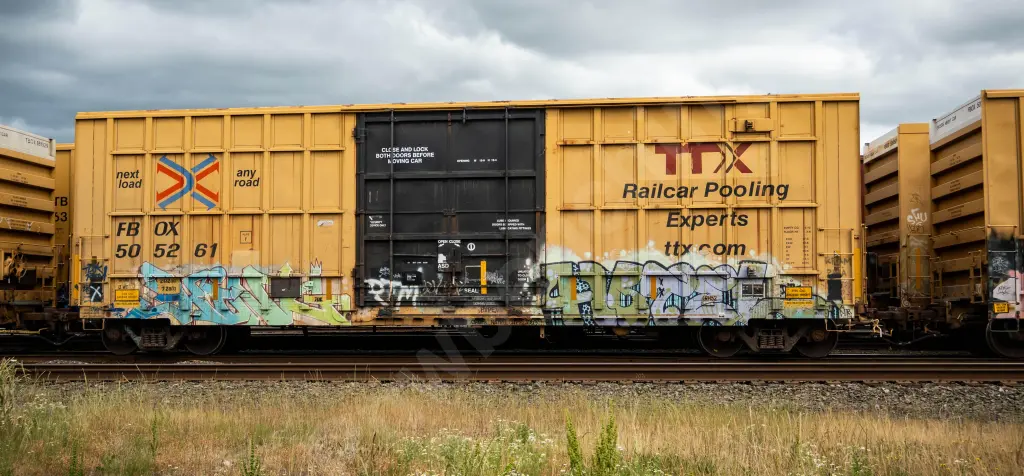 FBOX505261 - NORTH-AMERICA