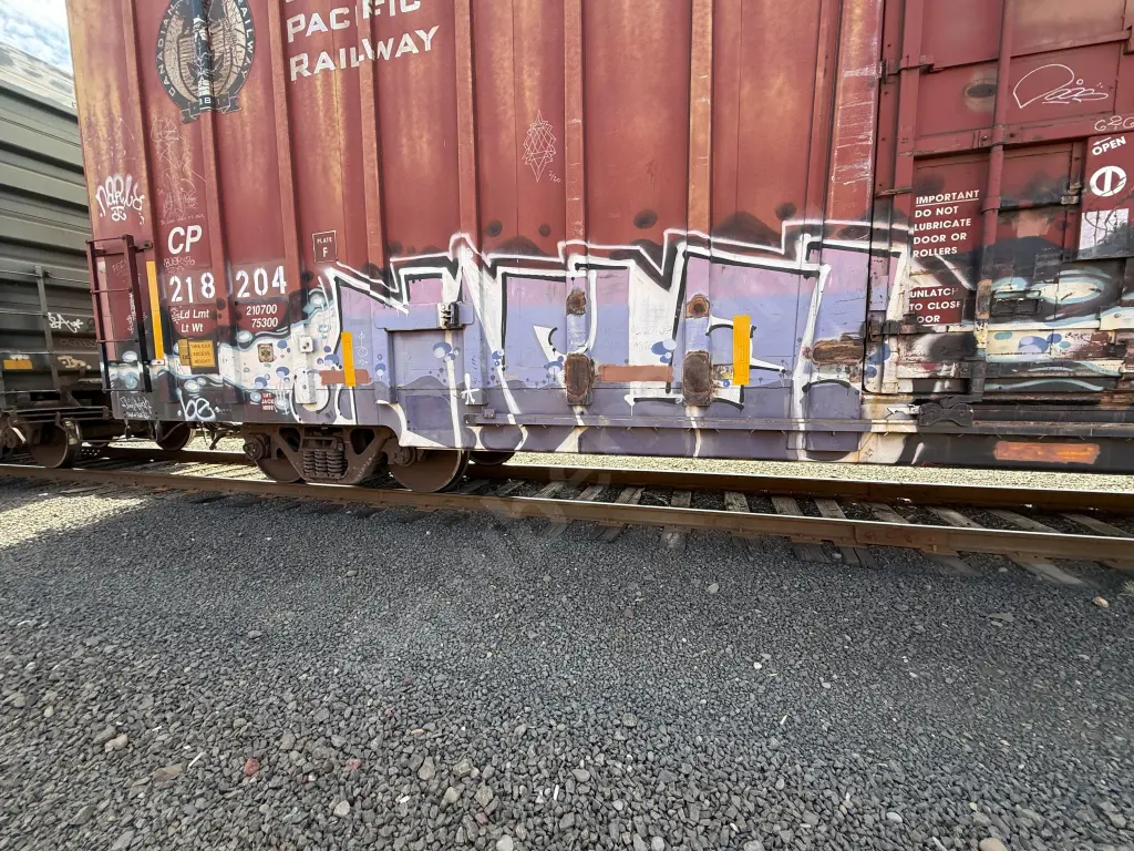 CP218204 - NORTH-AMERICA