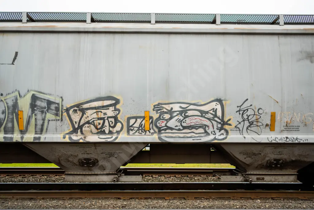 Train photo
