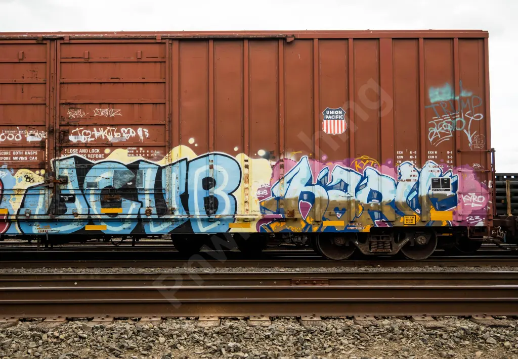UP369166 - NORTH-AMERICA