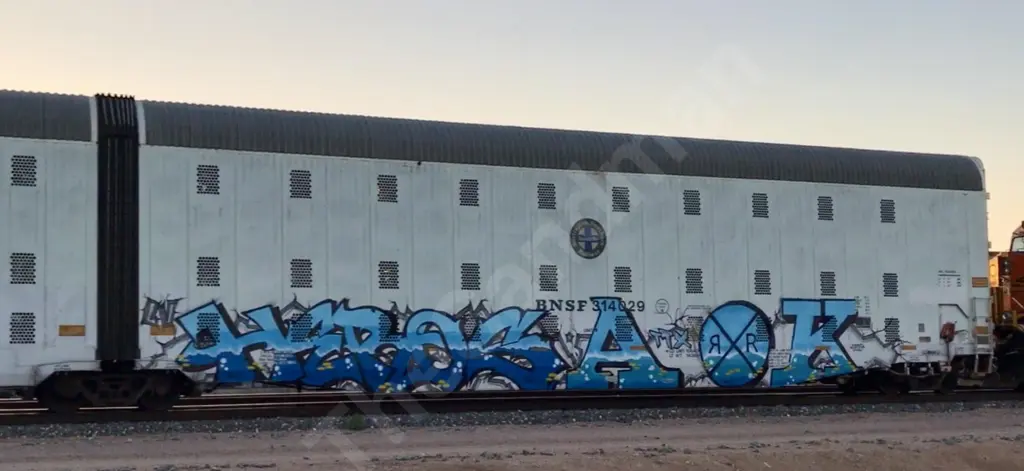 Train photo