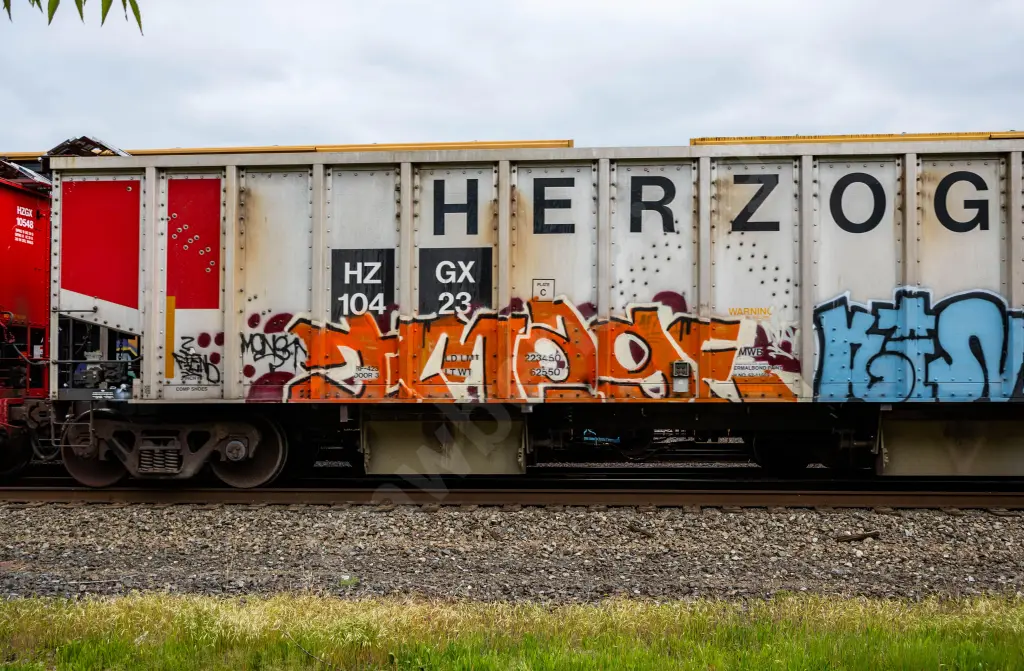 HZGX10423 - NORTH-AMERICA