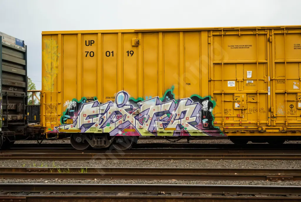 UP700119 - NORTH-AMERICA