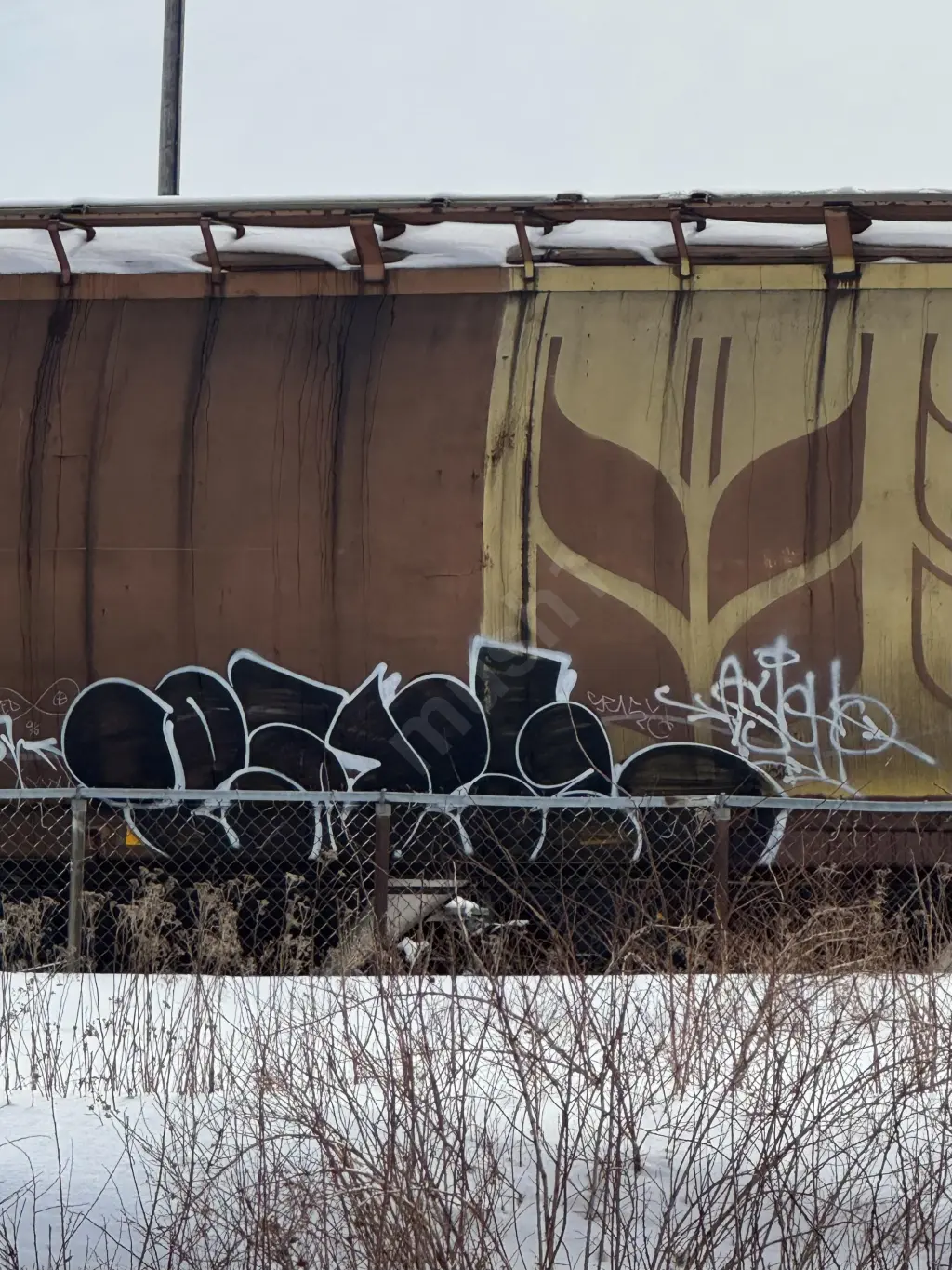 CN101178 - NORTH-AMERICA