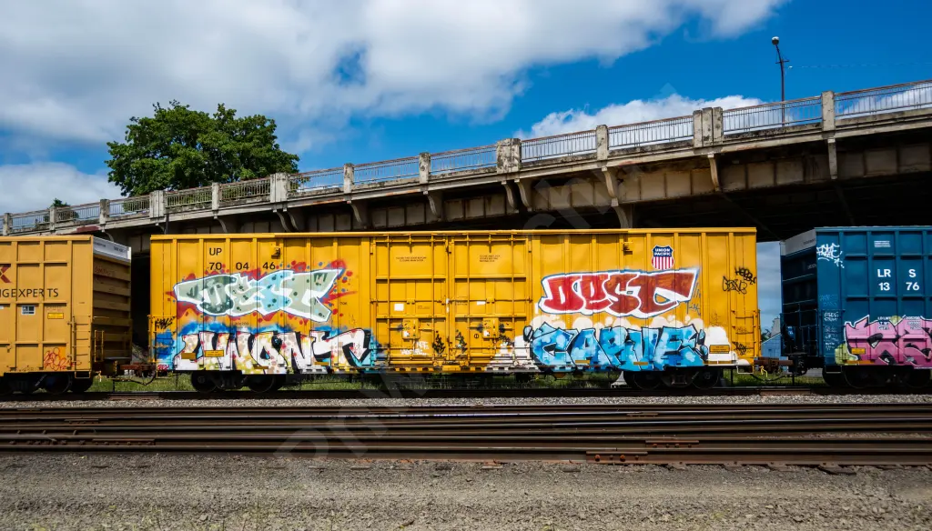 UP700446 - NORTH-AMERICA