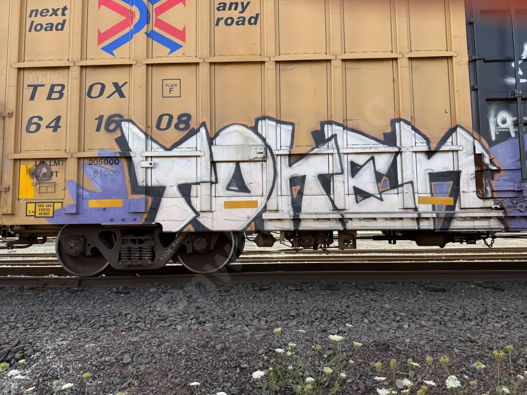 Train photo