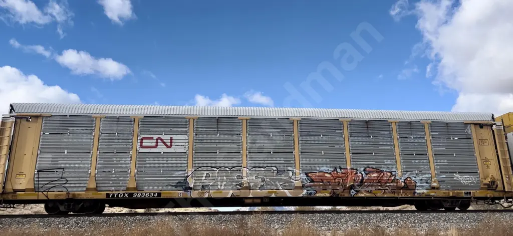 TTGX983634 - NORTH-AMERICA