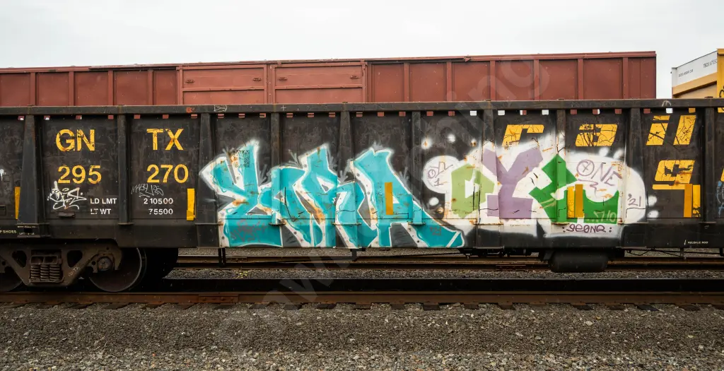 GNTX295270 - NORTH-AMERICA