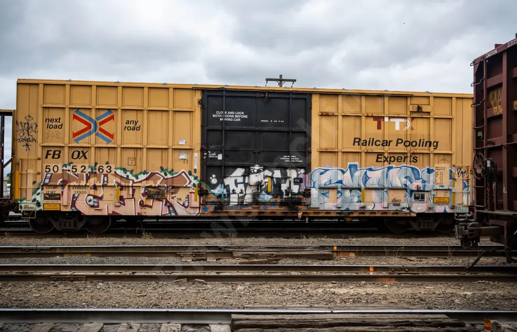 FBOX505263 - NORTH-AMERICA