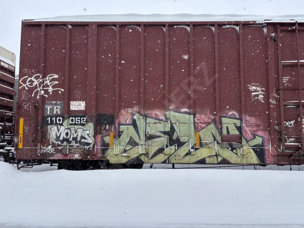 TR110062 - NORTH-AMERICA
