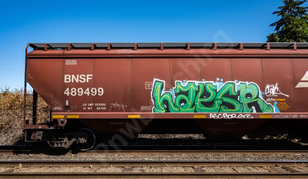 BNSF489499 - NORTH-AMERICA