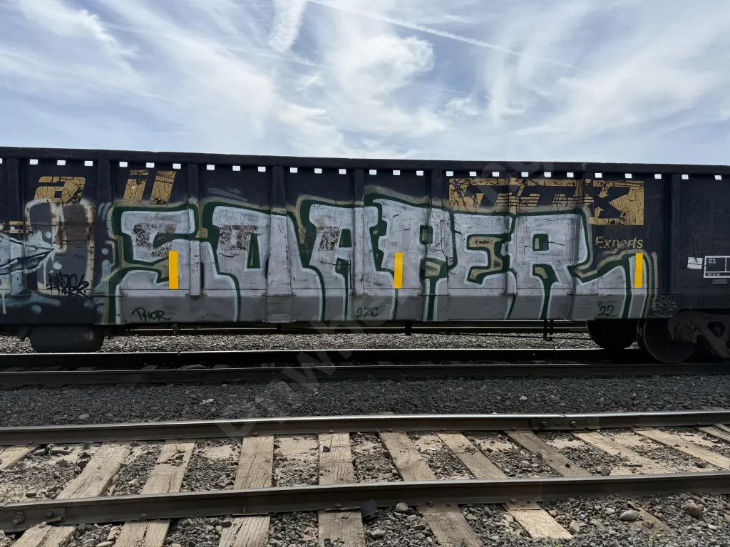 GNTX295017 - NORTH-AMERICA