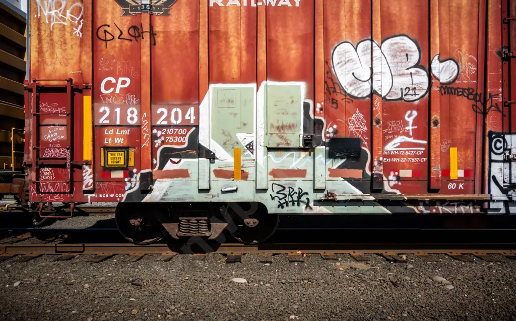 CP218204 - NORTH-AMERICA